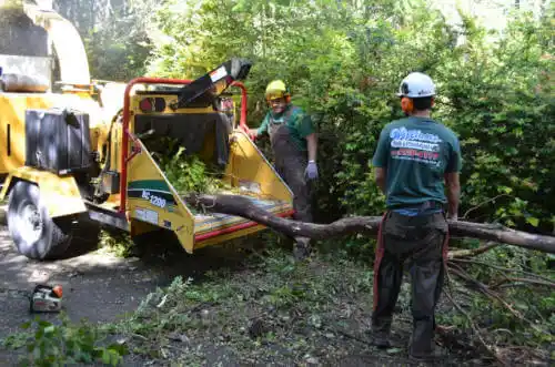 tree services Palmdale